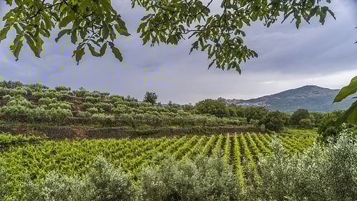 Villa Vitavera Others