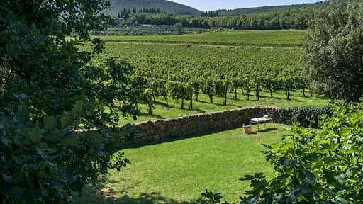 Villa Vivace Surroundings