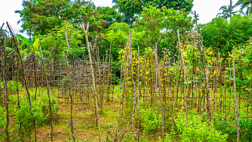 Villa Waimarie Andere