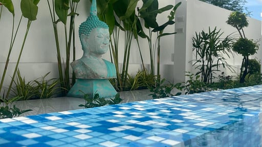 Villa White House Others