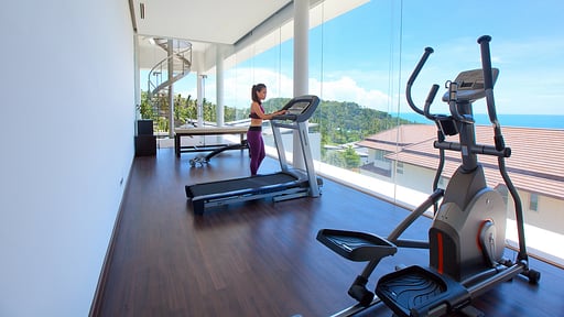 Villa White Tiger Gym