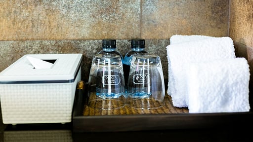 Villa XXIV Прочее