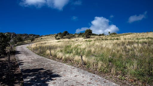 Villa Yellowbird Others