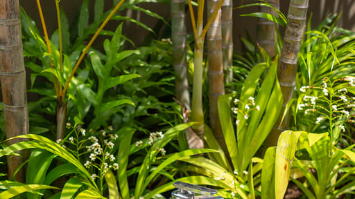 Villa Yoga Others