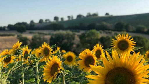 Villa Your Country Escape Autres