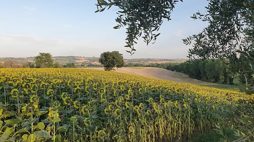 Villa Your Country Escape Autres