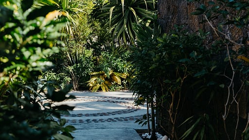 Villa Zébra Moon Garten