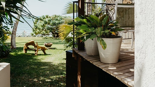 Villa Zébra Moon Garten