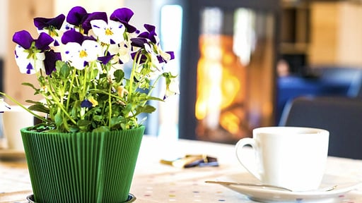 Villa Zen Falerone Andere