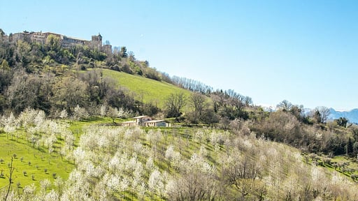 Villa Zen Falerone Garten