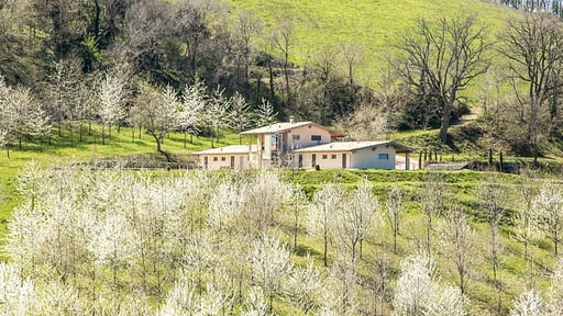 Villa Zen Falerone Garten