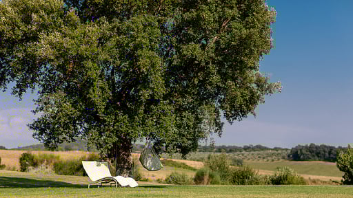 Villa Zen Tuscany Garden