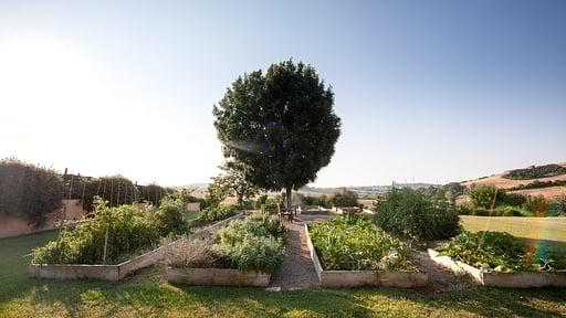 Villa Zen Tuscany Garden