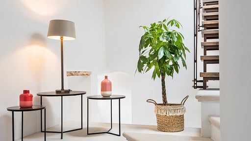 Villa Zenzero Others