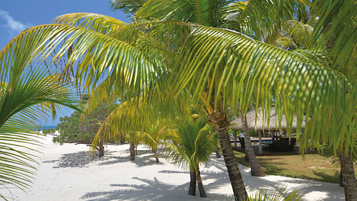 Villas Dinarobin Others