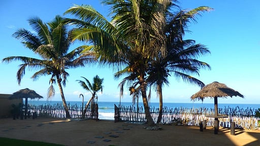 Villas Lotus and Araliya Andere