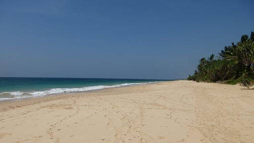 Villas Lotus and Araliya Strand