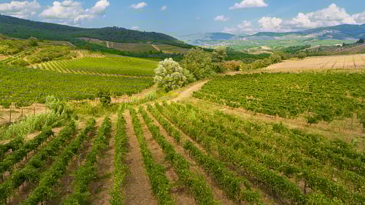 Ville Il Paradiso Autres