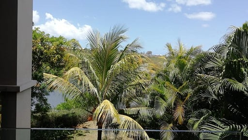 West Coast Marina Premium Apartment Umgebung