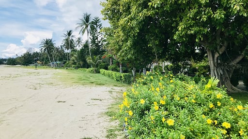 White House by the Beach Beach