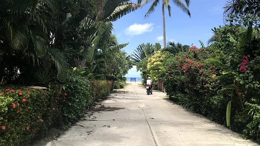 White House by the Beach Beach