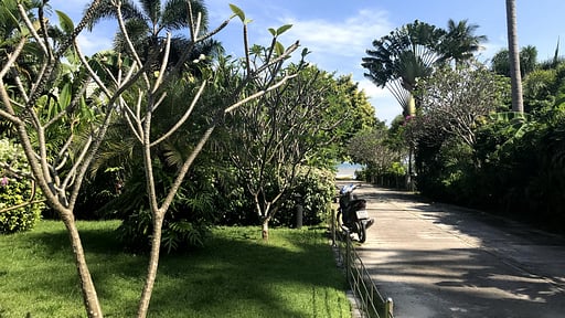 White House by the Beach Garden