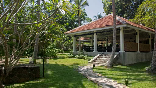 Why House Обеденная зона