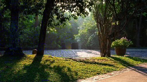 Why House Прочее 