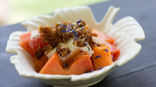 Why House Прочее 