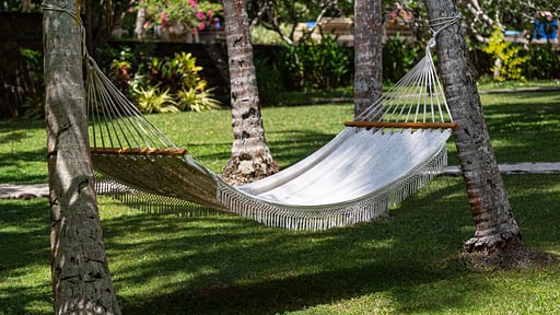 Why House Прочее 