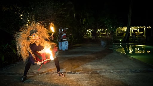 Why House Прочее 