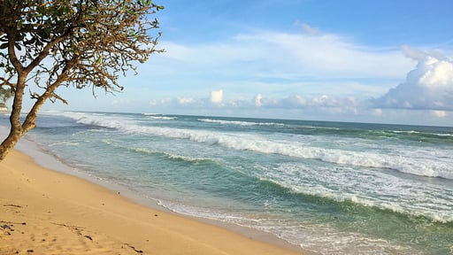 Woolamai Beach House Beach