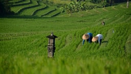 Ketapang Estate