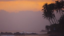 Villa Kingsley's Pearl