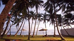 Villa Kingsley's Pearl