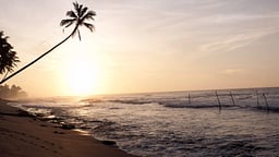 Villa Kingsley's Pearl