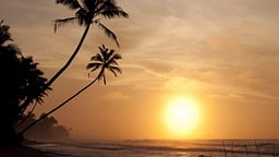 Villa Kingsley's Pearl