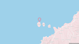 View map