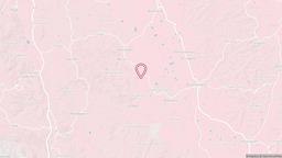 View map