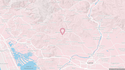 View map