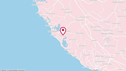View map