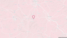 View map