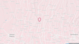 地図で見る