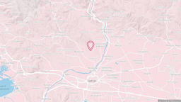 View map