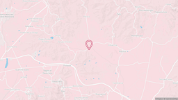 View map