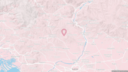 View map