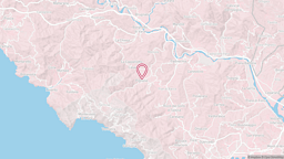 View map