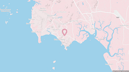 View map