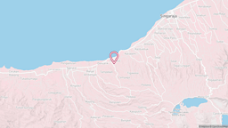 View map