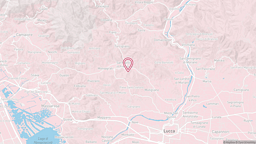 View map